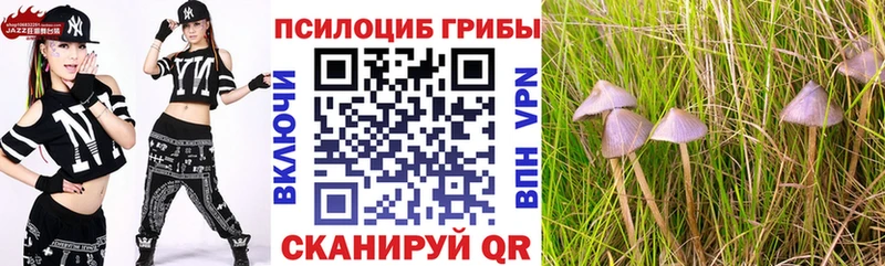 как найти закладки  OMG зеркало  Псилоцибиновые грибы GOLDEN TEACHER  Киржач 
